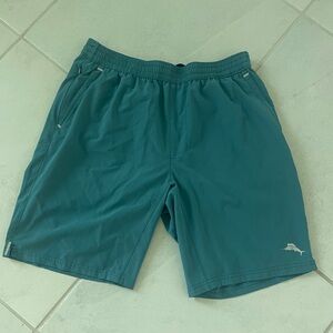 Men's Teal Tommy Bahama Island Zone Shorts Size Medium